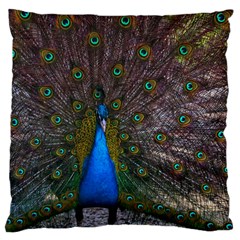 Bird Peacock Feathers Large Premium Plush Fleece Cushion Case (two Sides)