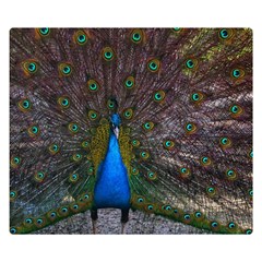 Bird Peacock Feathers Two Sides Premium Plush Fleece Blanket (kids Size) by Perong