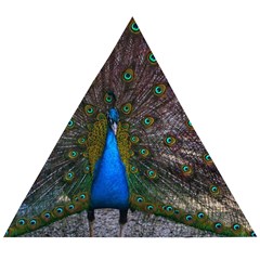 Bird Peacock Feathers Wooden Puzzle Triangle by Perong