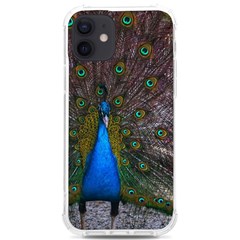 Bird Peacock Feathers Iphone 12/12 Pro Tpu Uv Print Case by Perong