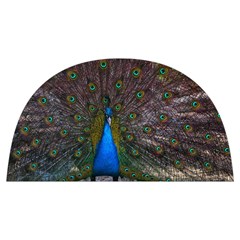 Bird Peacock Feathers Anti Scalding Pot Cap by Perong