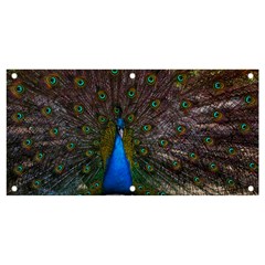 Bird Peacock Feathers Banner And Sign 4  X 2 