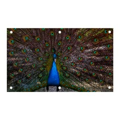 Bird Peacock Feathers Banner And Sign 5  X 3  by Perong