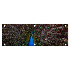 Bird Peacock Feathers Banner And Sign 6  X 2  by Perong