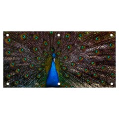 Bird Peacock Feathers Banner And Sign 6  X 3  by Perong