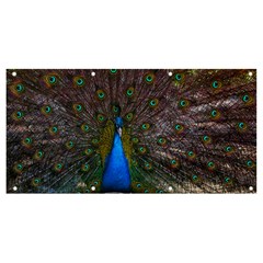 Bird Peacock Feathers Banner And Sign 8  X 4 