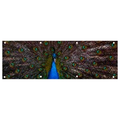 Bird Peacock Feathers Banner And Sign 9  X 3  by Perong