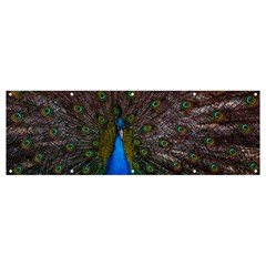 Bird Peacock Feathers Banner And Sign 12  X 4  by Perong