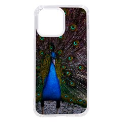 Bird Peacock Feathers Iphone 14 Pro Max Tpu Uv Print Case