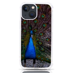 Bird Peacock Feathers Iphone 13 Mini Tpu Uv Print Case by Perong