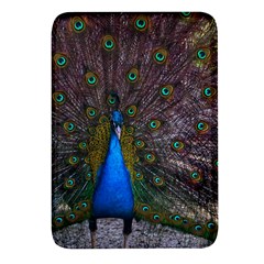 Bird Peacock Feathers Rectangular Glass Fridge Magnet (4 Pack) by Perong