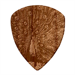 Bird Peacock Feathers Wood Guitar Pick (set Of 10) by Perong