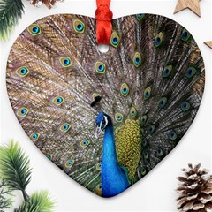 Peacock Bird Animal Peafowl Ornament (heart)