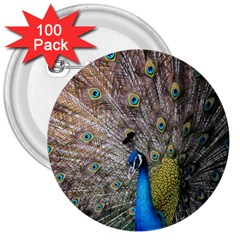 Peacock Bird Animal Peafowl 3  Buttons (100 Pack) 