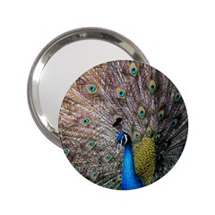 Peacock Bird Animal Peafowl 2 25  Handbag Mirrors