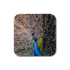 Peacock Bird Animal Peafowl Rubber Square Coaster (4 Pack) by Perong