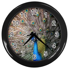 Peacock Bird Animal Peafowl Wall Clock (black) by Perong