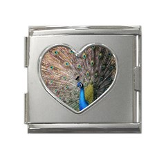 Peacock Bird Animal Peafowl Mega Link Heart Italian Charm (18mm) by Perong