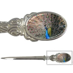 Peacock Bird Animal Peafowl Letter Opener by Perong