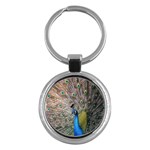 Peacock Bird Animal Peafowl Key Chain (Round) Front