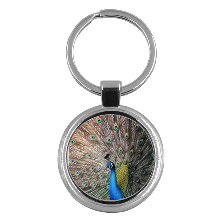 Peacock Bird Animal Peafowl Key Chain (Round)