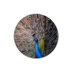 Peacock Bird Animal Peafowl Rubber Coaster (round) by Perong