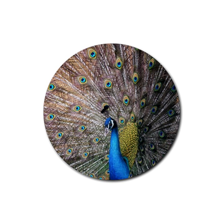 Peacock Bird Animal Peafowl Rubber Round Coaster (4 pack)