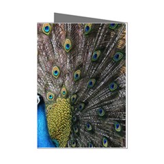 Peacock Bird Animal Peafowl Mini Greeting Cards (pkg Of 8)