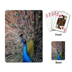 Peacock Bird Animal Peafowl Playing Cards Single Design (rectangle) by Perong