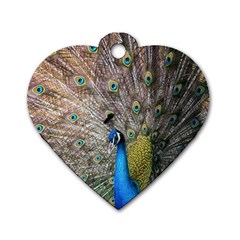 Peacock Bird Animal Peafowl Dog Tag Heart (one Side)