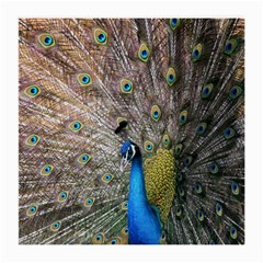 Peacock Bird Animal Peafowl Medium Glasses Cloth by Perong