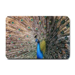 Peacock Bird Animal Peafowl Small Doormat