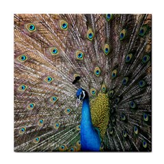 Peacock Bird Animal Peafowl Face Towel by Perong