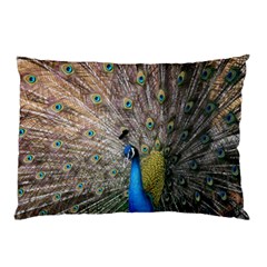 Peacock Bird Animal Peafowl Pillow Case by Perong