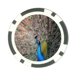 Peacock Bird Animal Peafowl Poker Chip Card Guard (10 Pack) by Perong