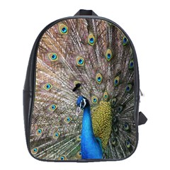 Peacock Bird Animal Peafowl School Bag (large) by Perong