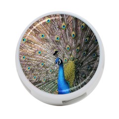 Peacock Bird Animal Peafowl 4-port Usb Hub (two Sides)