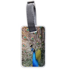 Peacock Bird Animal Peafowl Luggage Tag (one Side)