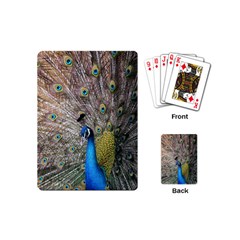 Peacock Bird Animal Peafowl Playing Cards Single Design (mini)