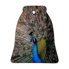 Peacock Bird Animal Peafowl Ornament (bell)