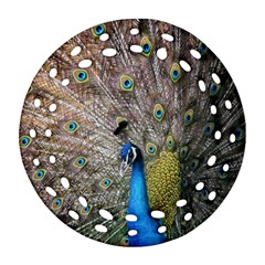 Peacock Bird Animal Peafowl Round Filigree Ornament (two Sides)