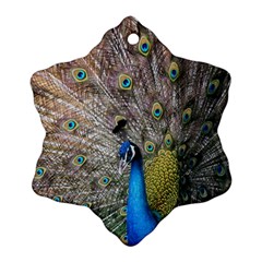 Peacock Bird Animal Peafowl Snowflake Ornament (two Sides) by Perong