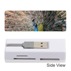 Peacock Bird Animal Peafowl Memory Card Reader (stick)