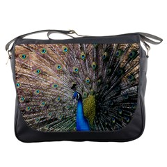 Peacock Bird Animal Peafowl Messenger Bag