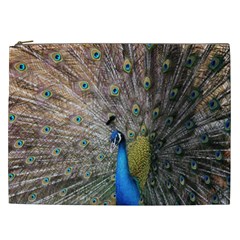 Peacock Bird Animal Peafowl Cosmetic Bag (xxl)