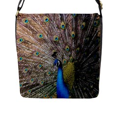 Peacock Bird Animal Peafowl Flap Closure Messenger Bag (l)