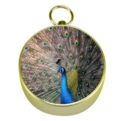 Peacock Bird Animal Peafowl Gold Compasses