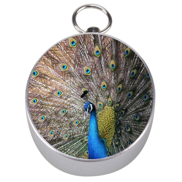 Peacock Bird Animal Peafowl Silver Compasses