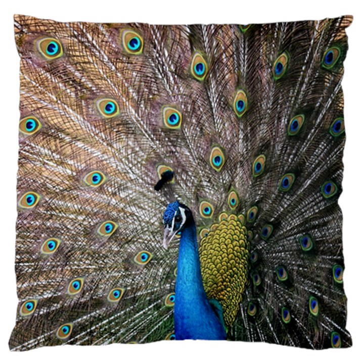 Peacock Bird Animal Peafowl Large Premium Plush Fleece Cushion Case (One Side)