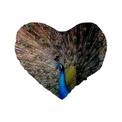 Peacock Bird Animal Peafowl Standard 16  Premium Flano Heart Shape Cushions